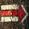 Test image